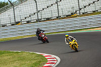 brands-hatch-photographs;brands-no-limits-trackday;cadwell-trackday-photographs;enduro-digital-images;event-digital-images;eventdigitalimages;no-limits-trackdays;peter-wileman-photography;racing-digital-images;trackday-digital-images;trackday-photos